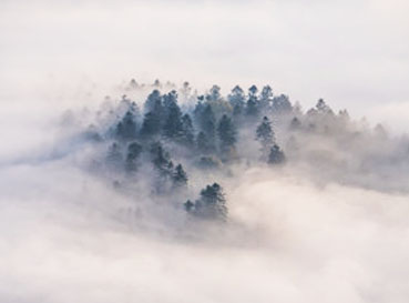 Naklejki Mgła