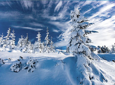 Obrazy Zima