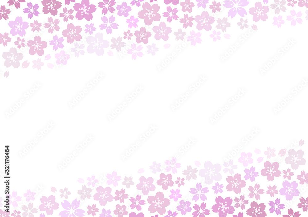 Fototapeta Premium 芝桜 春風イメージ 花柄背景 紫 Kwiaty Fototapeta Premium